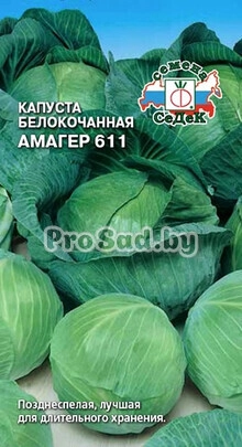 Капуста белокочанная Амагер 611