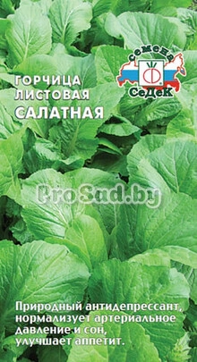 Горчица листовая Салатная