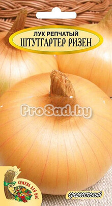 Лук репчатый Штутгартер ризен