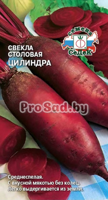 Свекла столовая Цилиндра