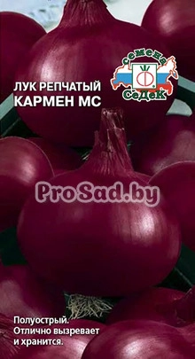Лук репчатый Кармен МС