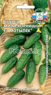 Огурец мини-корнишон F1 Мотылёк