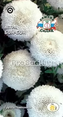 Астра Бон-Бон