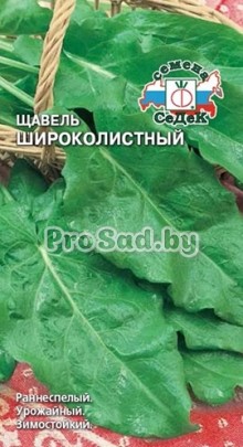 Щавель Широколистный