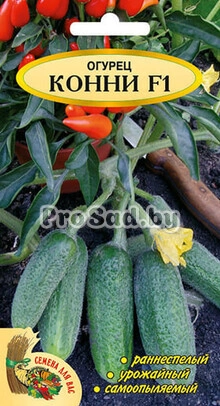 Огурец F1 Конни