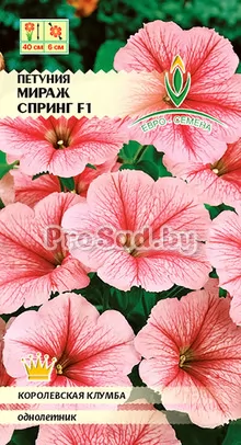Петуния многоцветковая F1 Мираж спринг
