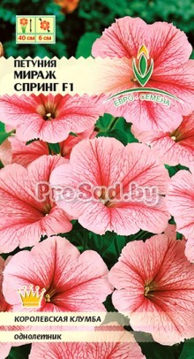 Петуния многоцветковая F1 Мираж спринг