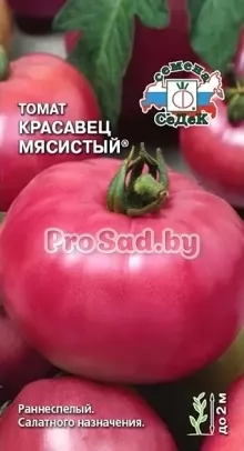 Томат Красавец мясистый