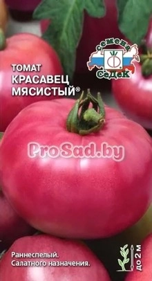 Томат Красавец мясистый