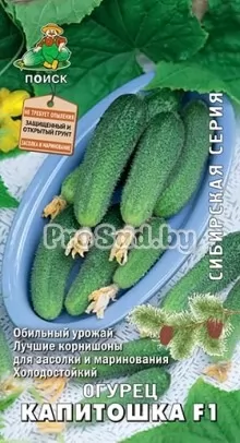 Огурец F1 Капитошка