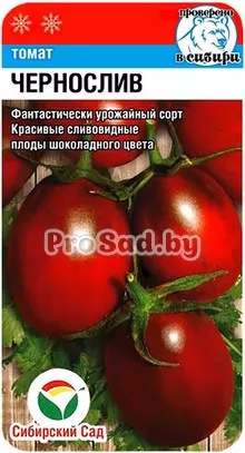 Томат Чернослив