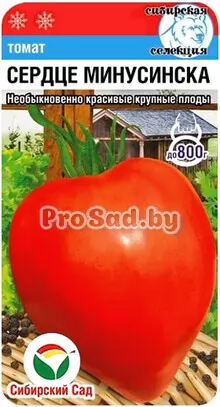 Томат Сердце Минусинска