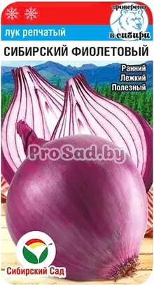 Лук репчатый Сибирский фиолетовый