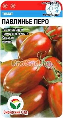 Томат Павлинье перо