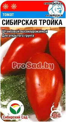 Томат Сибирская тройка