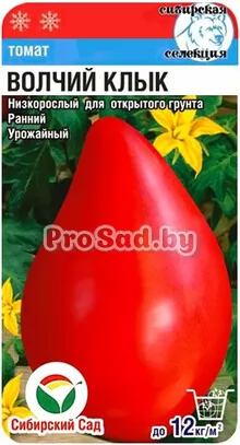 Томат Волчий клык