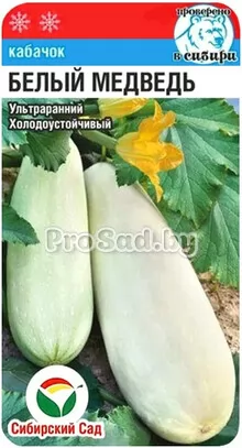 Кабачок Белый медведь