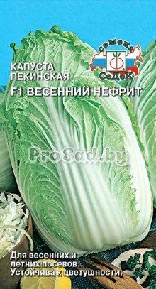 Капуста пекинская F1 Весенний нефрит