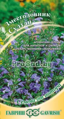 Змееголовник Султан