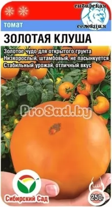 Томат Золотая клуша