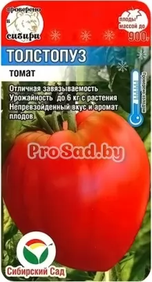Томат Толстопуз