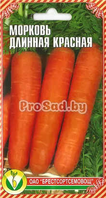 Морковь Длинная красная (Германия)
