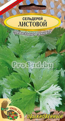 Сельдерей Листовой