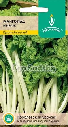 Мангольд Мираж