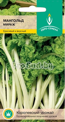 Мангольд Мираж