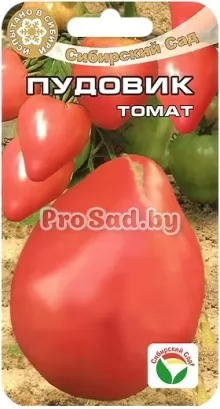 Томат Пудовик