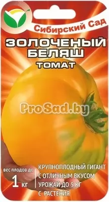 Томат Золочёный беляш