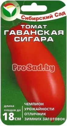 Томат Гаванская сигара