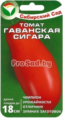 Томат Гаванская сигара