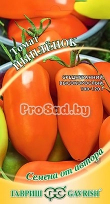 Томат Цыплёнок