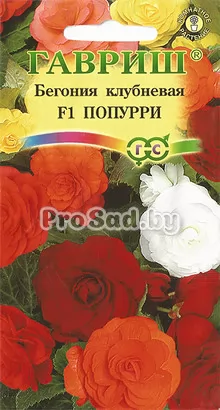 Бегония клубневая F1 Попурри, смесь