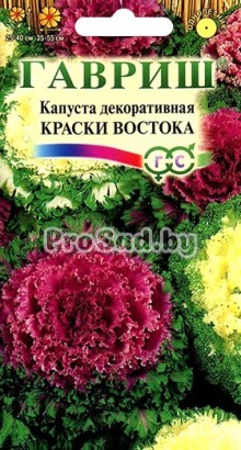 Капуста декоративная Краски востока, смесь