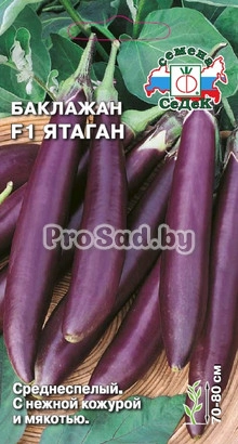 Баклажан F1 Ятаган