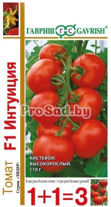 Томат F1 Интуиция