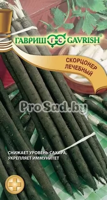 Скорцонер Лечебный