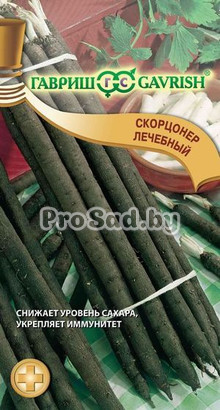 Скорцонер Лечебный