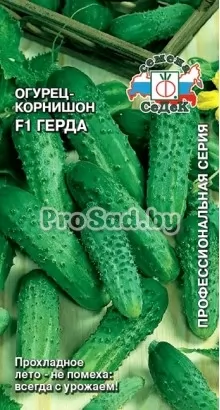 Огурец-корнишон F1 Герда