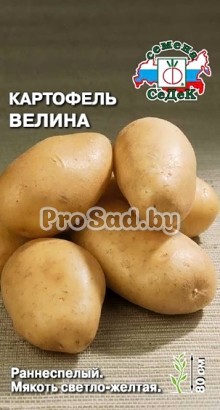 Картофель Велина
