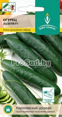 Огурец F1 Зозуля