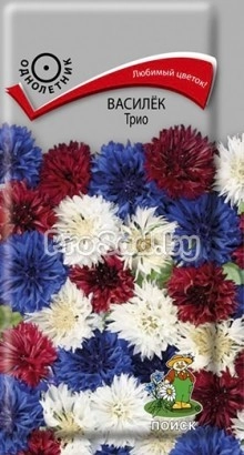 Василёк Трио