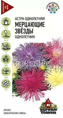 Астра Мерцающие звёзды, смесь