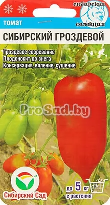 Томат Сибирский гроздевой