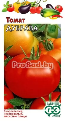 Томат Дубрава