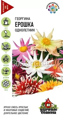 Георгина Ерошка, смесь