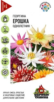 Георгина Ерошка, смесь