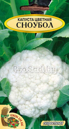 Капуста цветная Сноубол